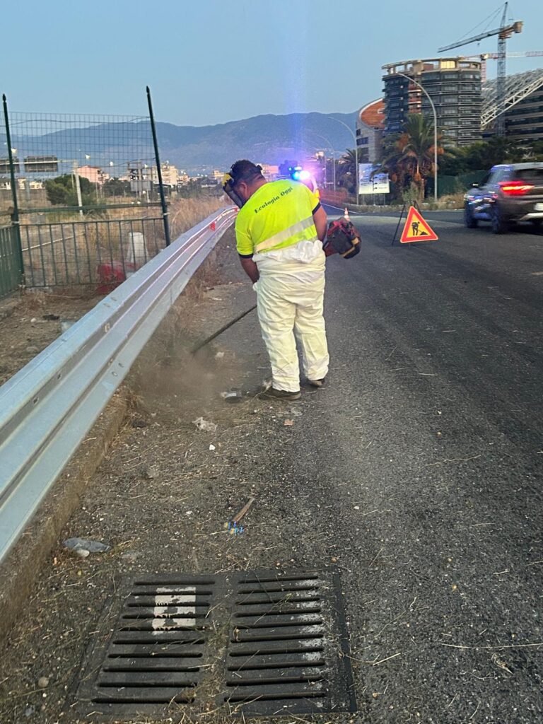pulizia strade reggio calabria