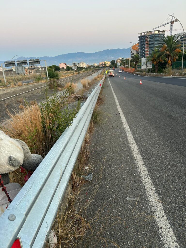 pulizia strade reggio calabria