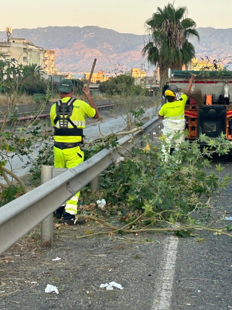 pulizia strade reggio calabria