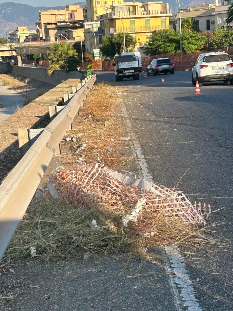 pulizia strade reggio calabria