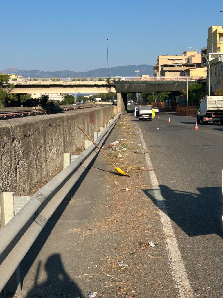 pulizia strade reggio calabria