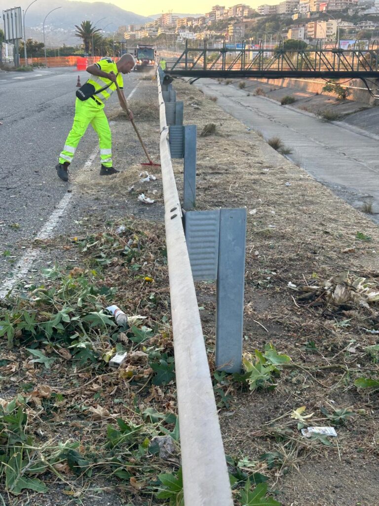 pulizia strade reggio calabria