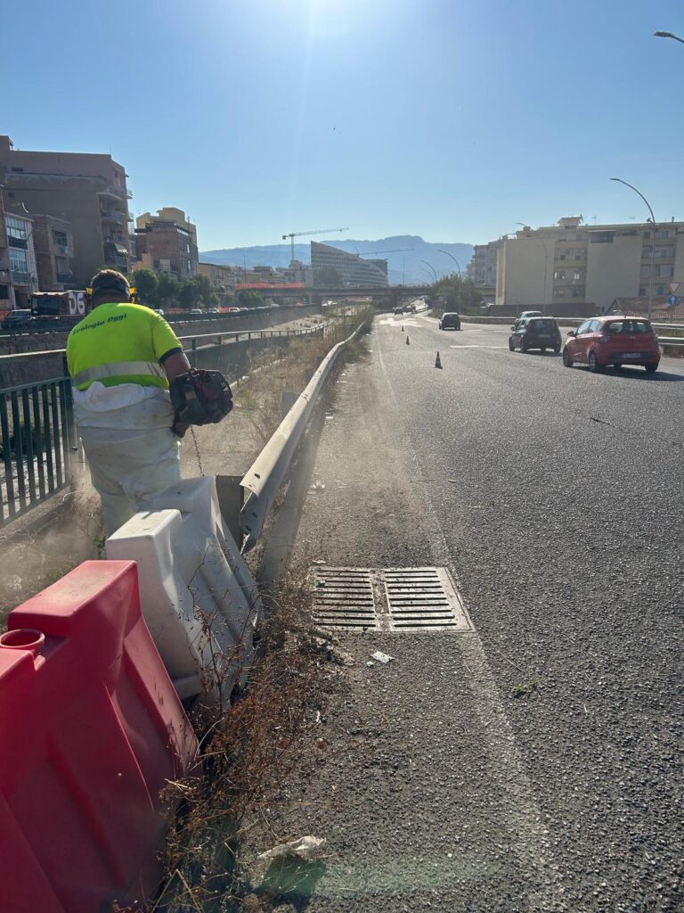 pulizia strade reggio calabria
