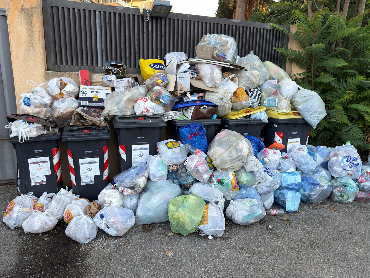 Reggio Calabria, rifiuti non raccolti da 20 giorni a Gallico Marina: la denuncia