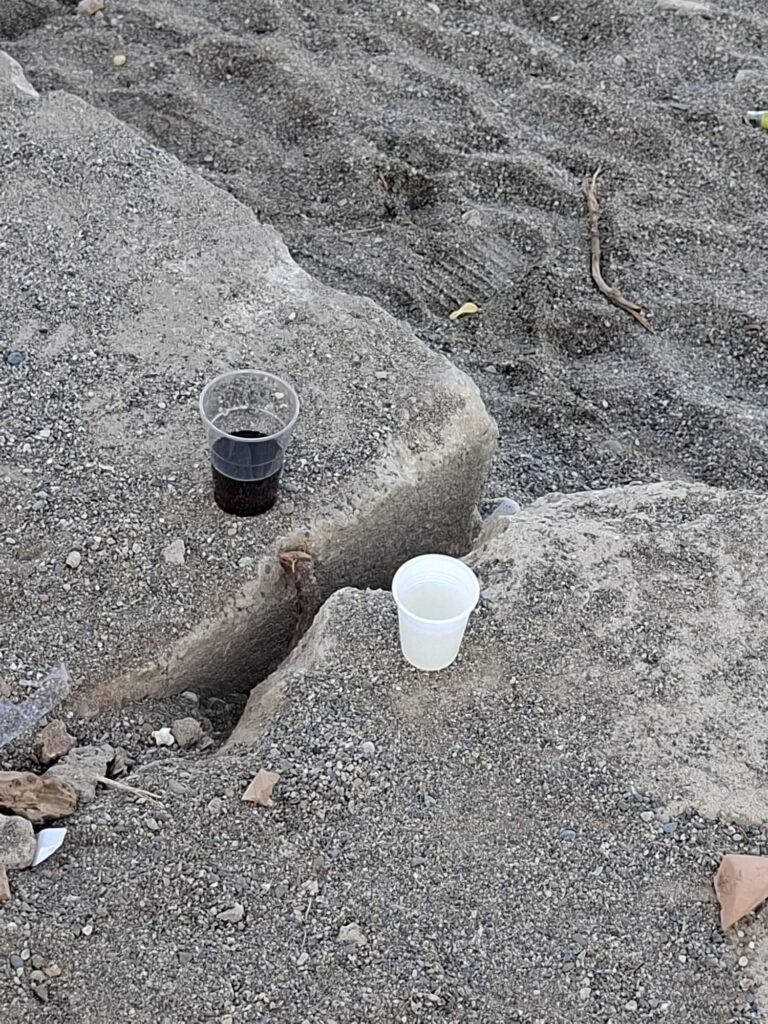 rifiuti spiaggia del fratino