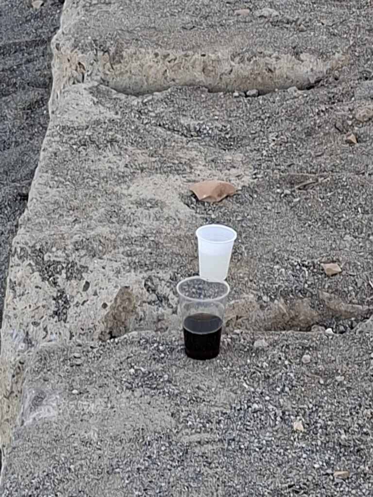 rifiuti spiaggia del fratino