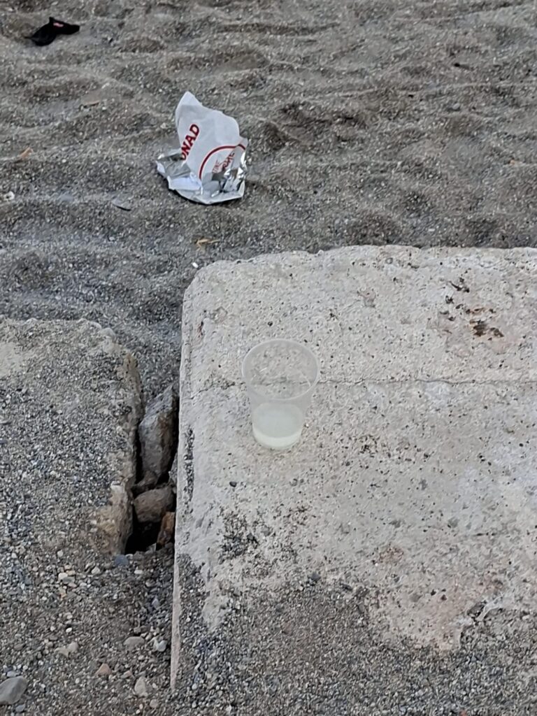 rifiuti spiaggia del fratino