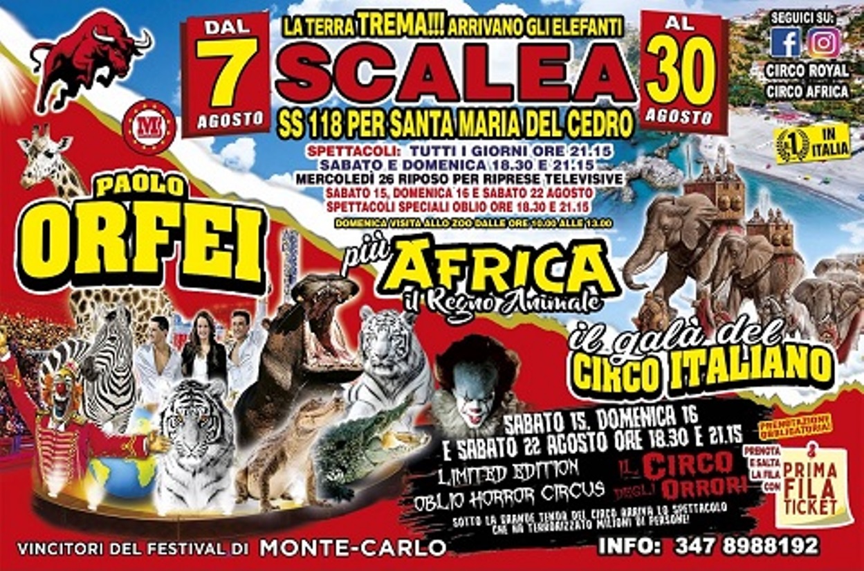 scalea circo