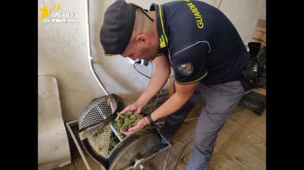 sequestro di marijuana