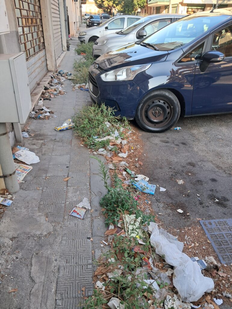 sporcizia reggio calabria