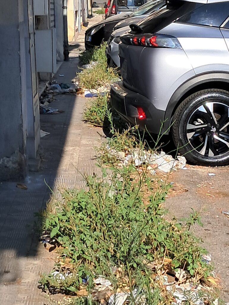 sporcizia reggio calabria
