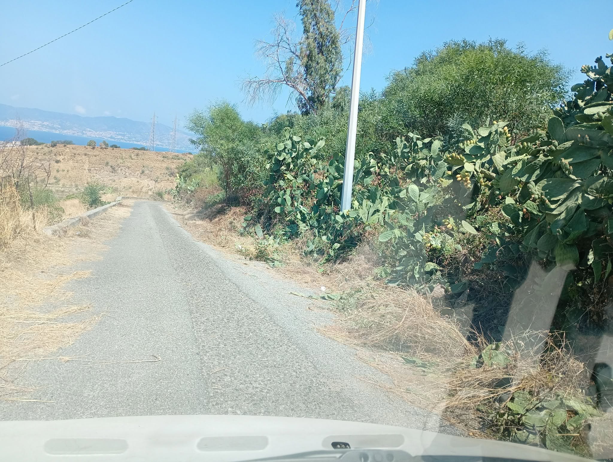 strada ortì