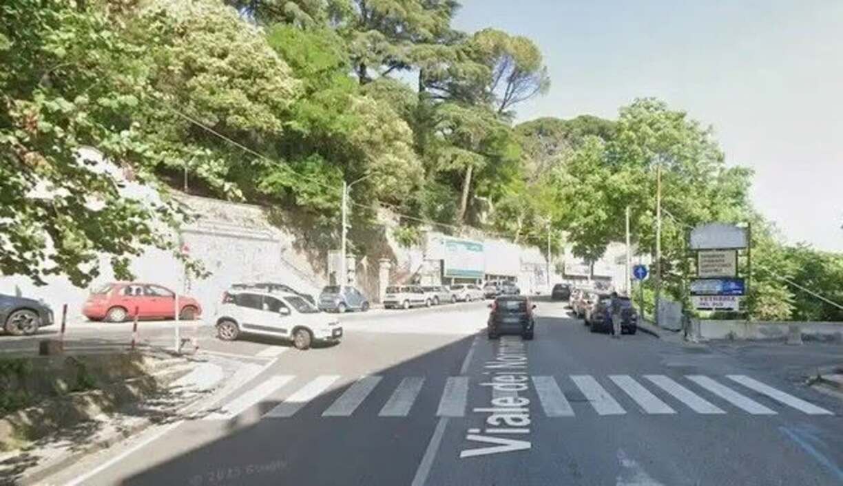 viale dei normanni catanzaro