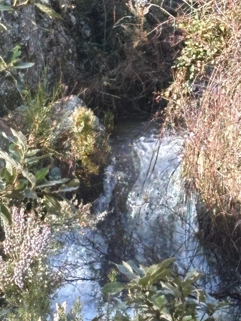 Acqua Calabria Emilio Errigo