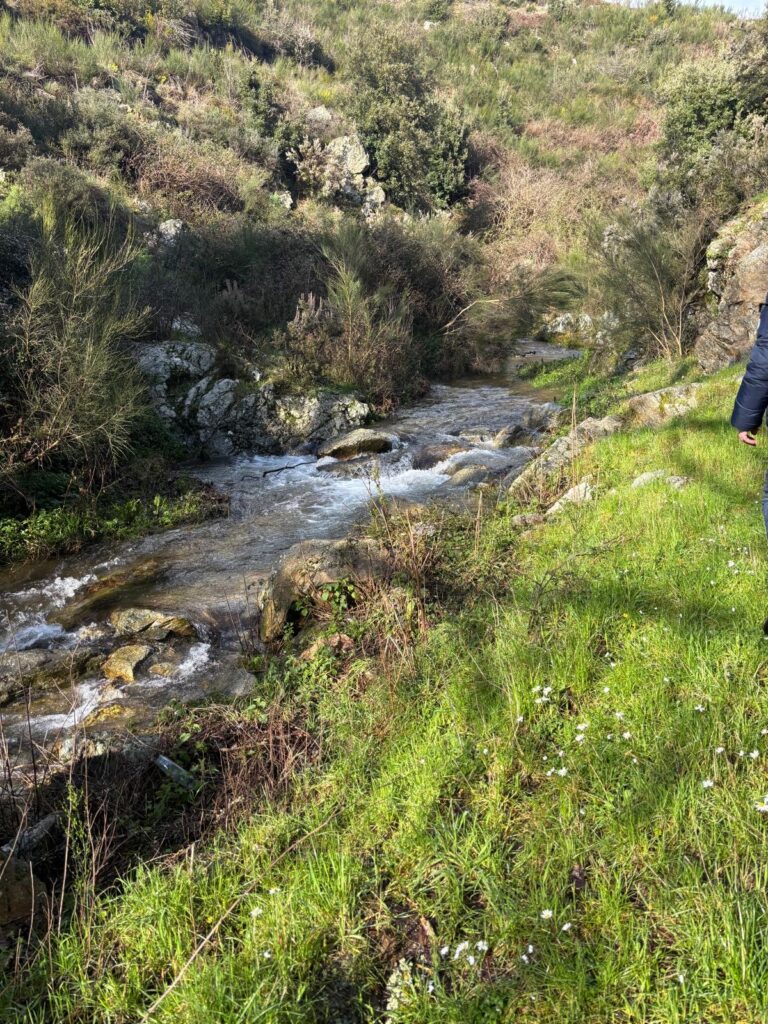 Acqua Calabria Emilio Errigo