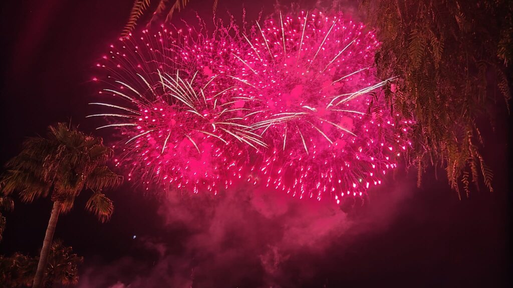 Fuochi d'artificio Festa Madonna 2026
