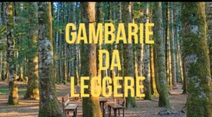Gambarie da leggere