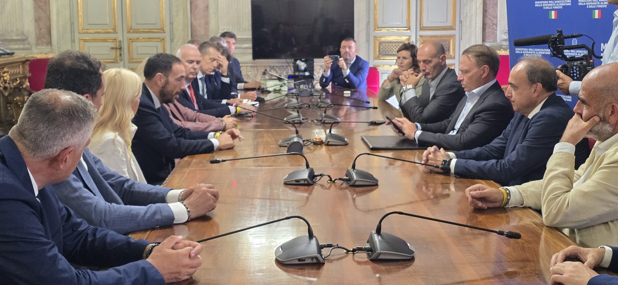 Olio, 40 milioni ai frantoi veri: Coldiretti incontra il Ministro, controlli rig