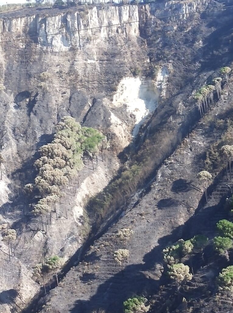 Incendi territorio Reggio Calabria
