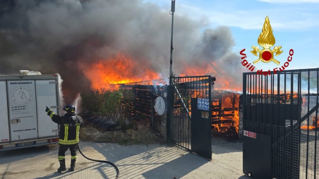 Incendio Oasi Argo