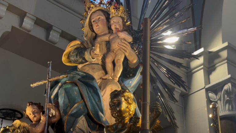 Taurianova, le celebrazioni della Madonna della Montagna tra fede, storia e mito | INTERVISTE