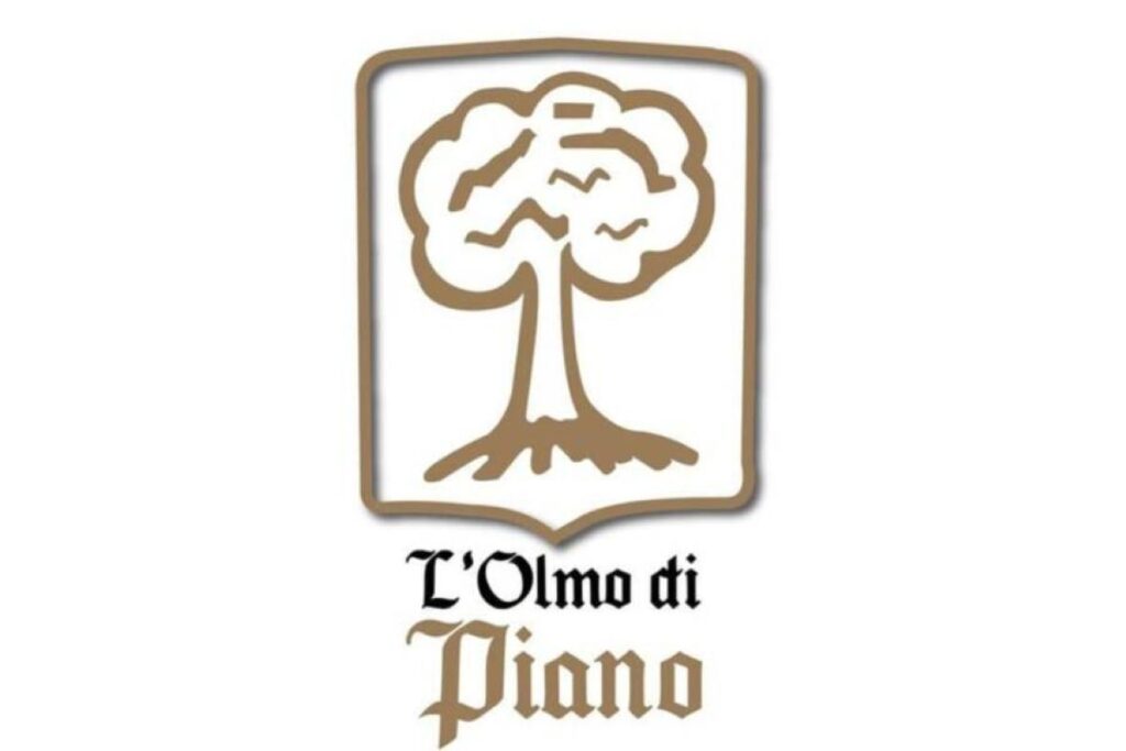 Olmo di piano