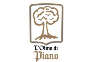 Olmo di piano