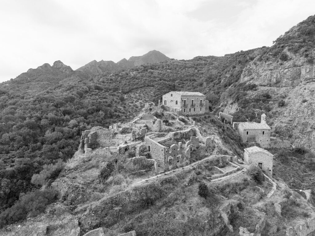 Precacore