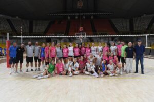 Puliservice Volley