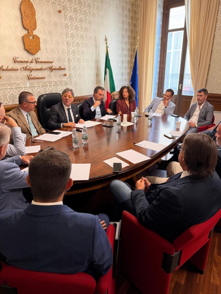 Riunione Camera di Commercio Catanzaro
