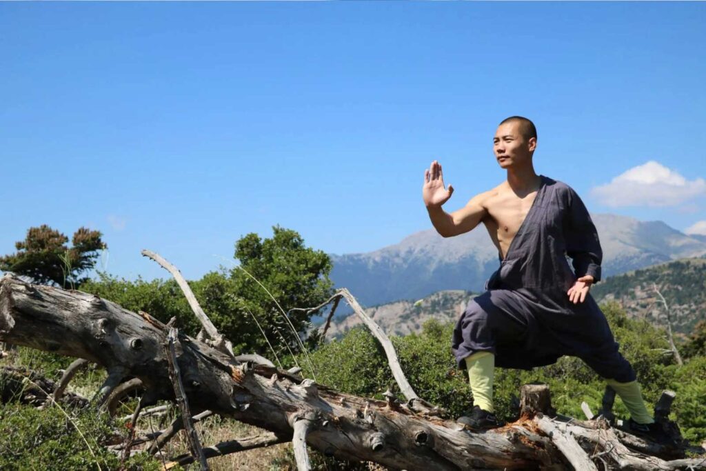 Taiji-Mountain-Shi-Yanti