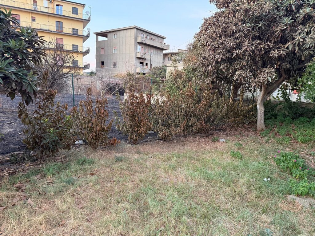 Terreni incolti Reggio Calabria