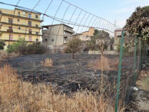 Terreni incolti Reggio Calabria