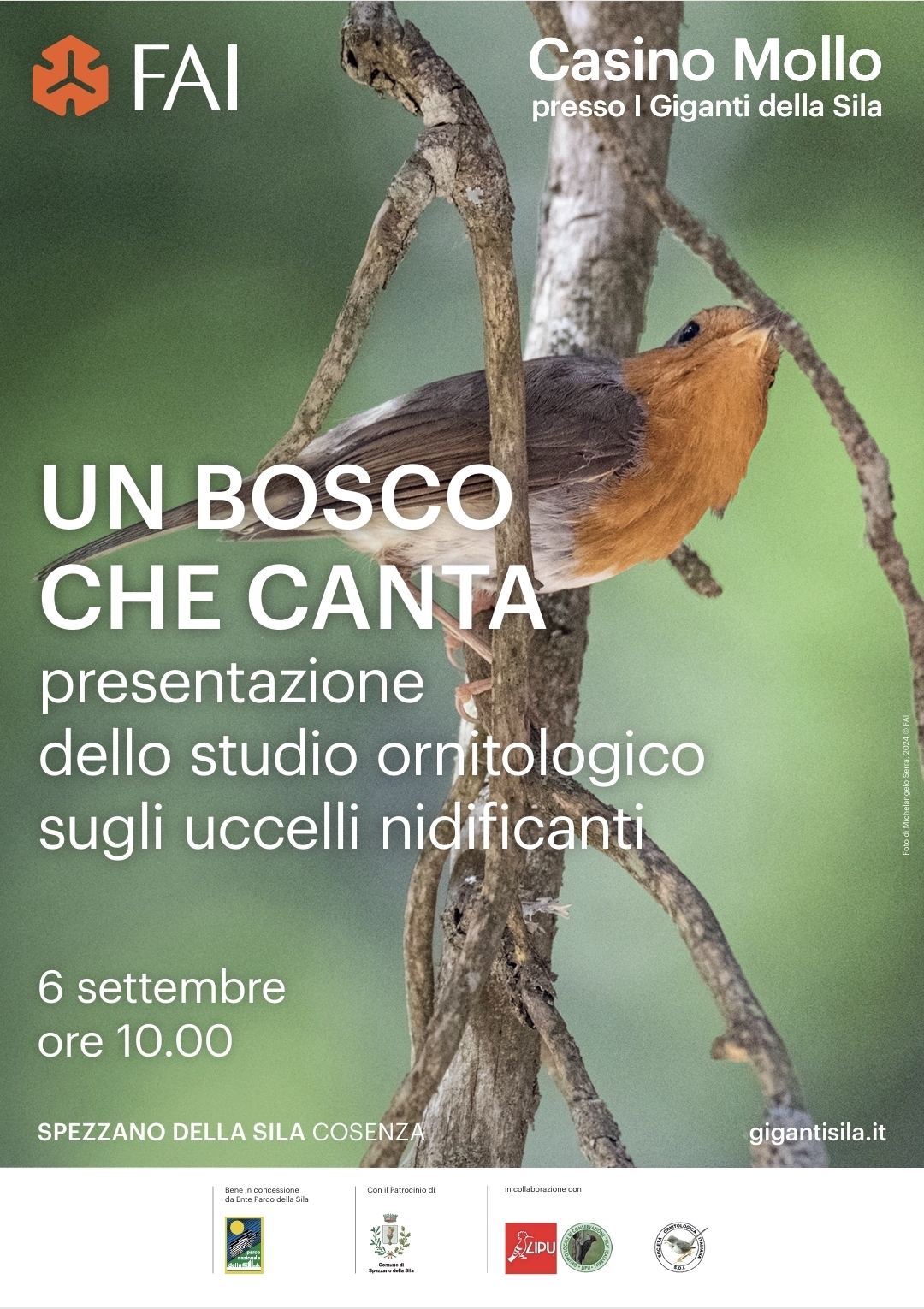 Un bosco che canta