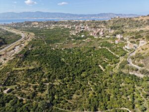 Vallata del Gallico