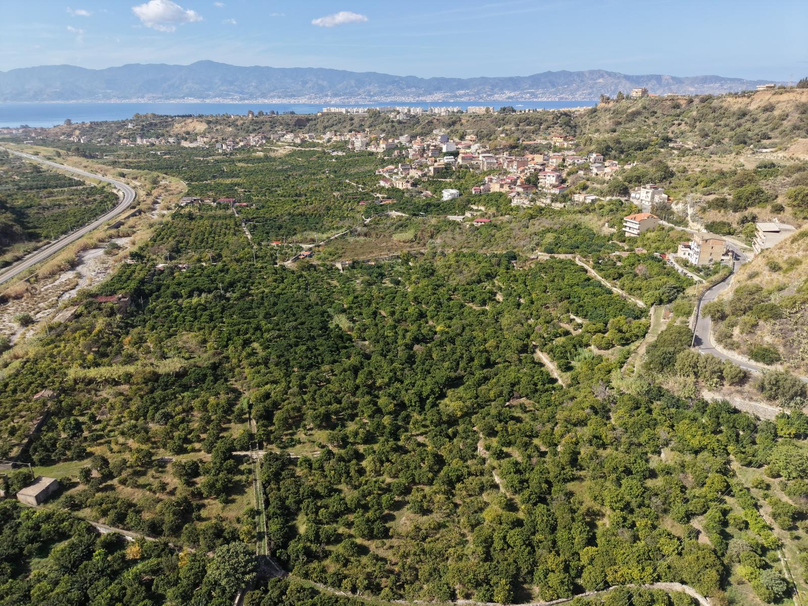 Vallata del Gallico