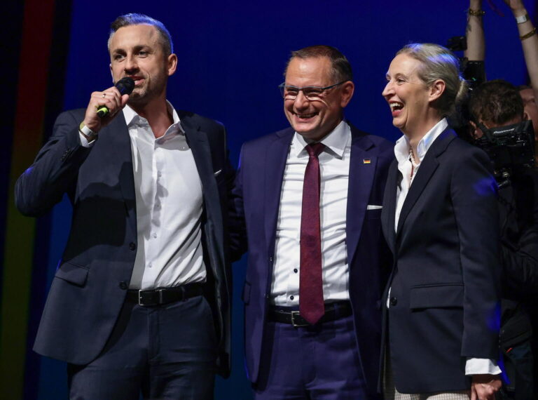 Vertici-partito-tedesco-Afd-Alternative-fur-Deutschland