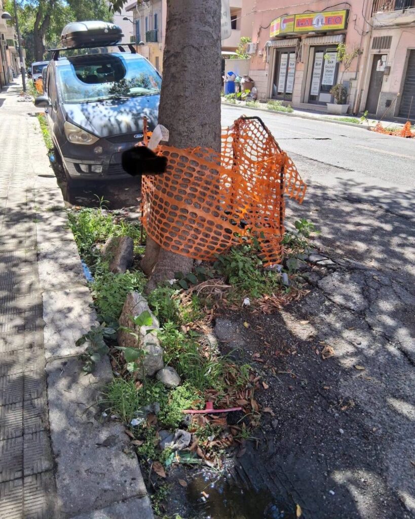 Viale Galilei- progetto PON METRO PLUS