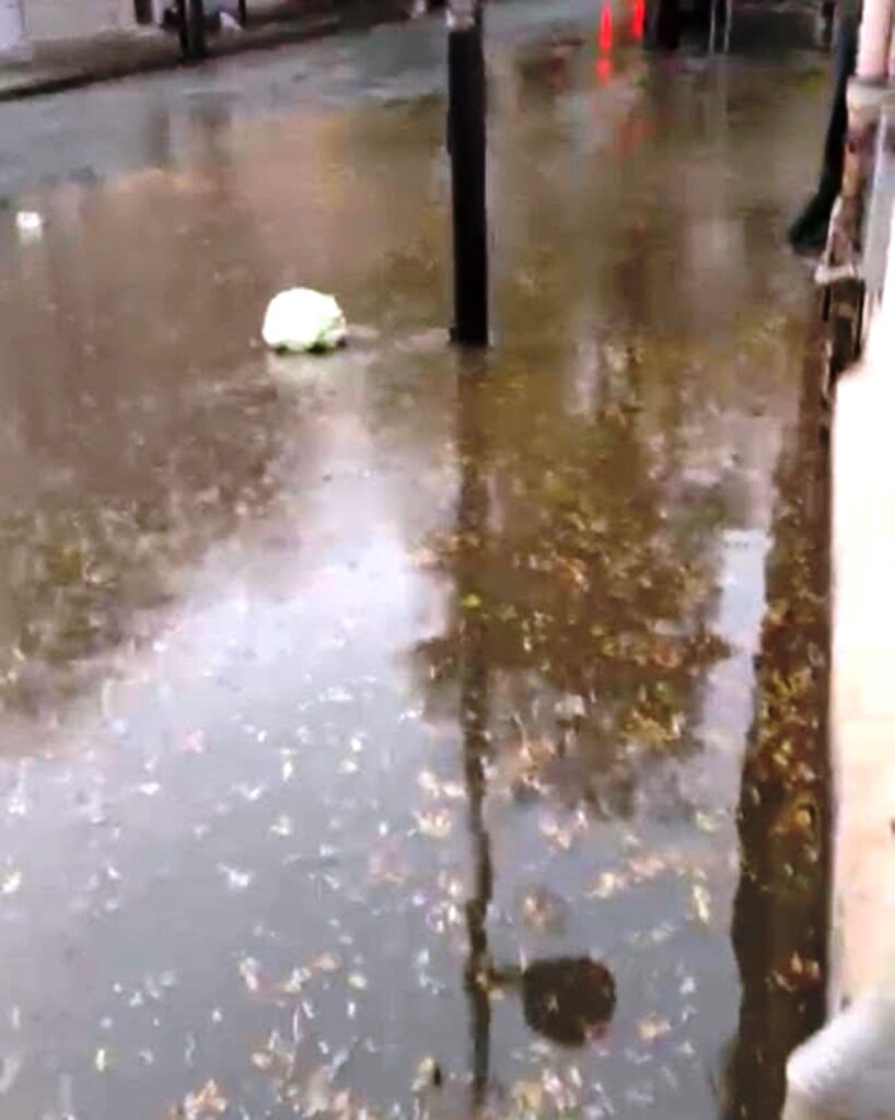 allagamenti viale galileo galilei con la pioggia