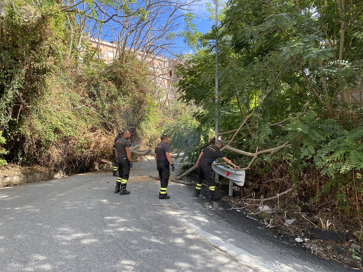 caduta albero messina