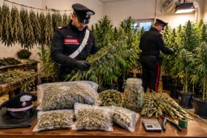 cannabis carabinieri