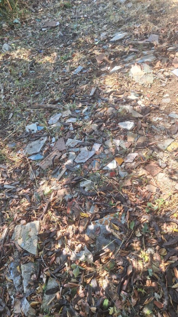 cittadini ripuliscono villetta di via Gran Madre di Dio