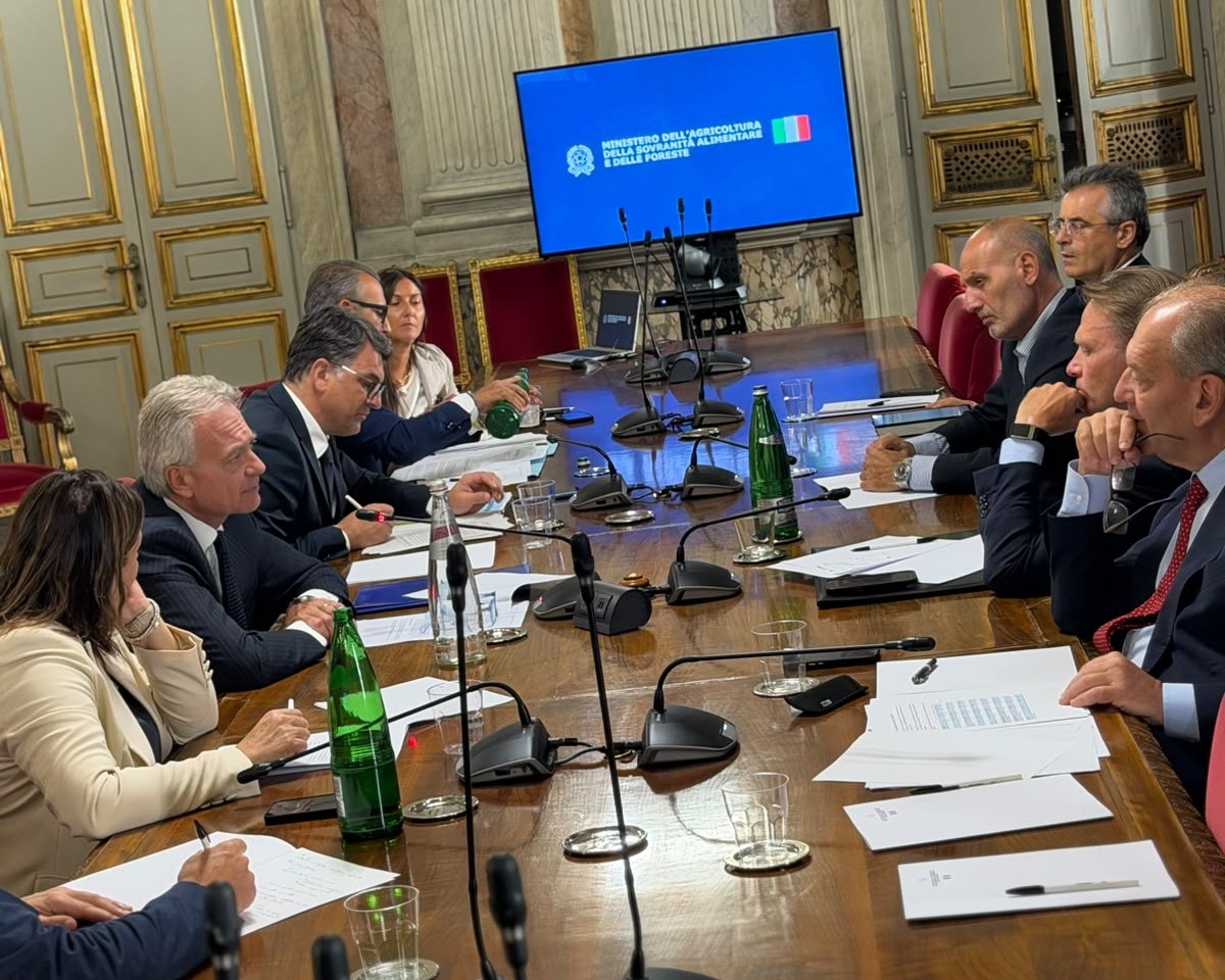 confronto governo regioni per olio del mezzogiorno
