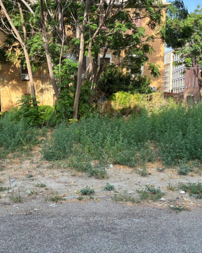 degrado Via Fratelli Spagnolo