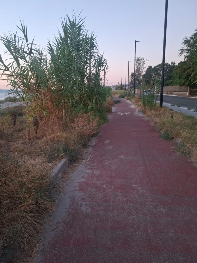 degrado pista ciclabile catona