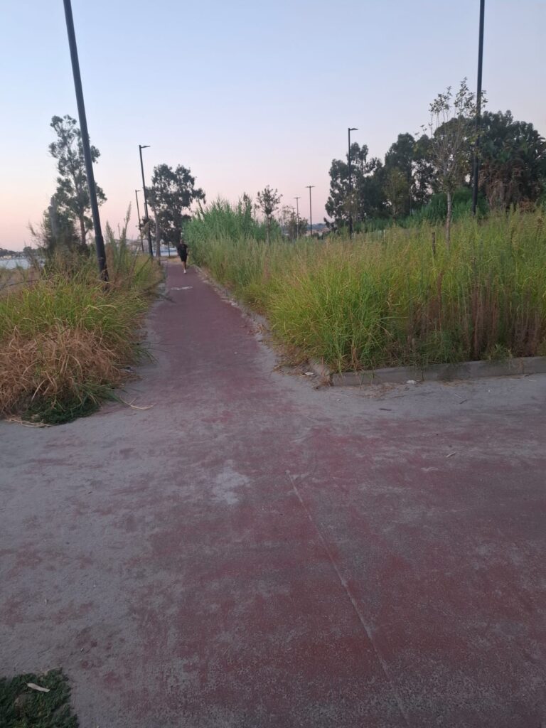 degrado pista ciclabile catona