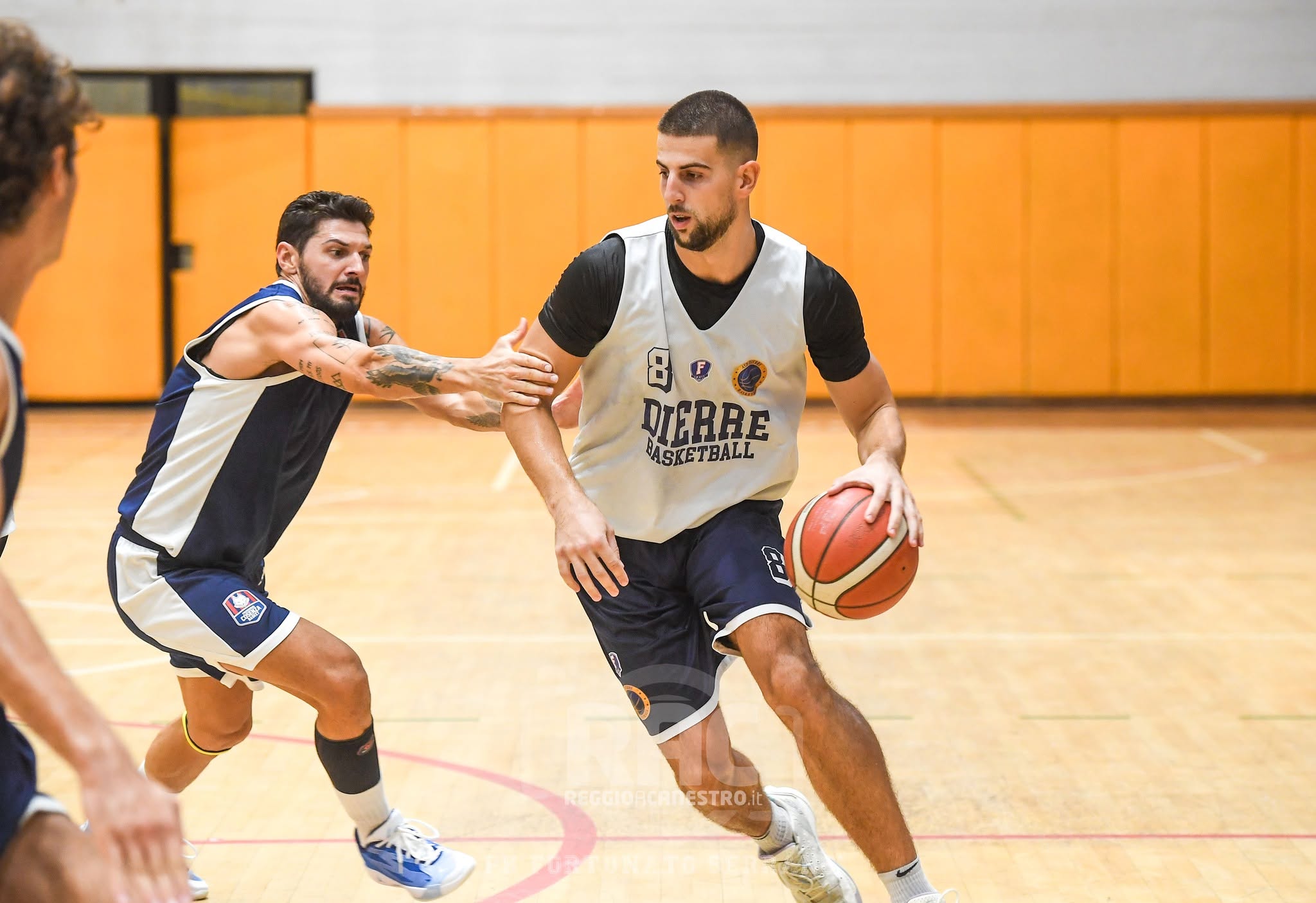 dierre miljanic