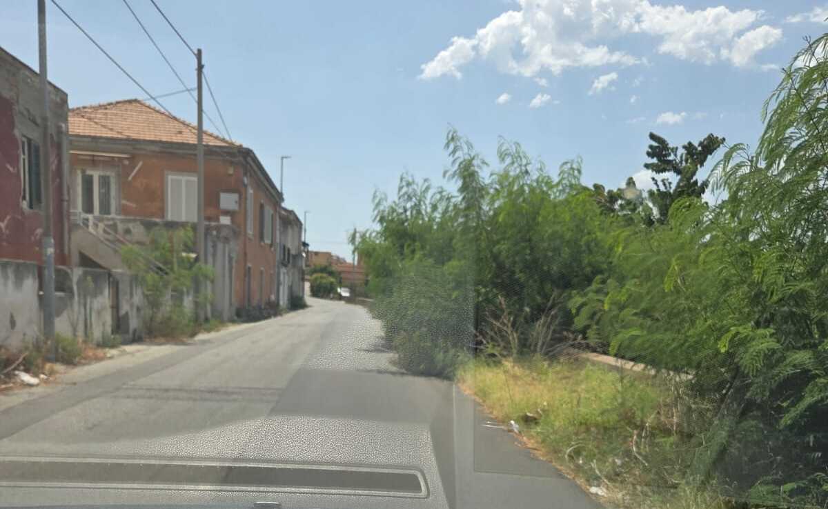 erba alta a san gregorio strada verso stazione aeroporto