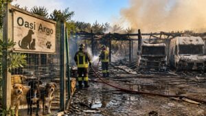 incendio canile