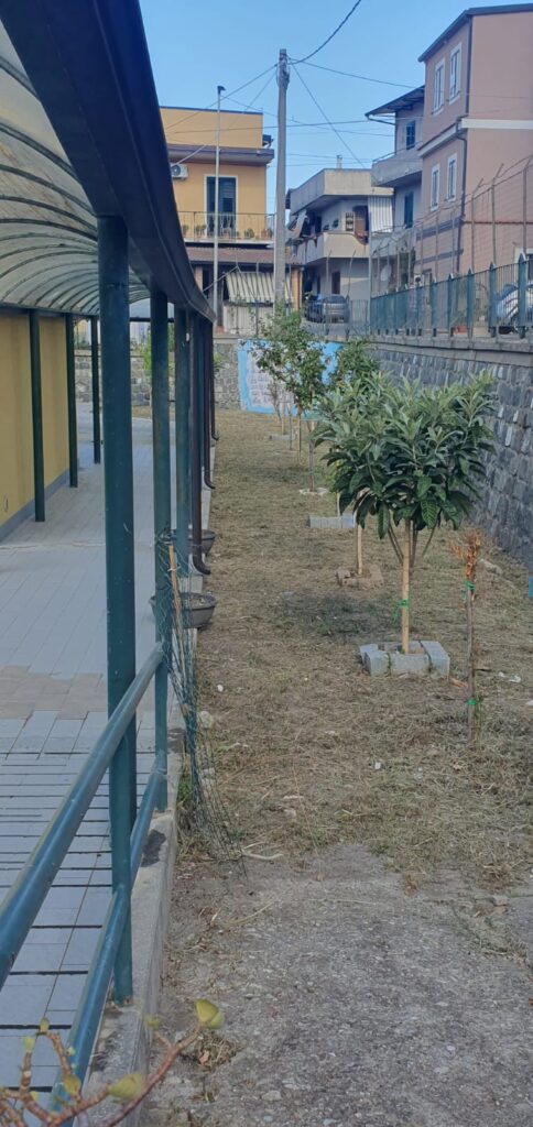 interventi di decoro e sicurezza scuole palmi